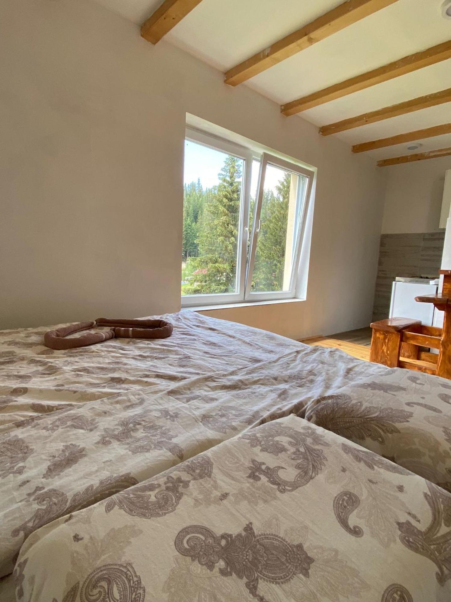 Apartment Durmitor Zabljak  Phòng bức ảnh