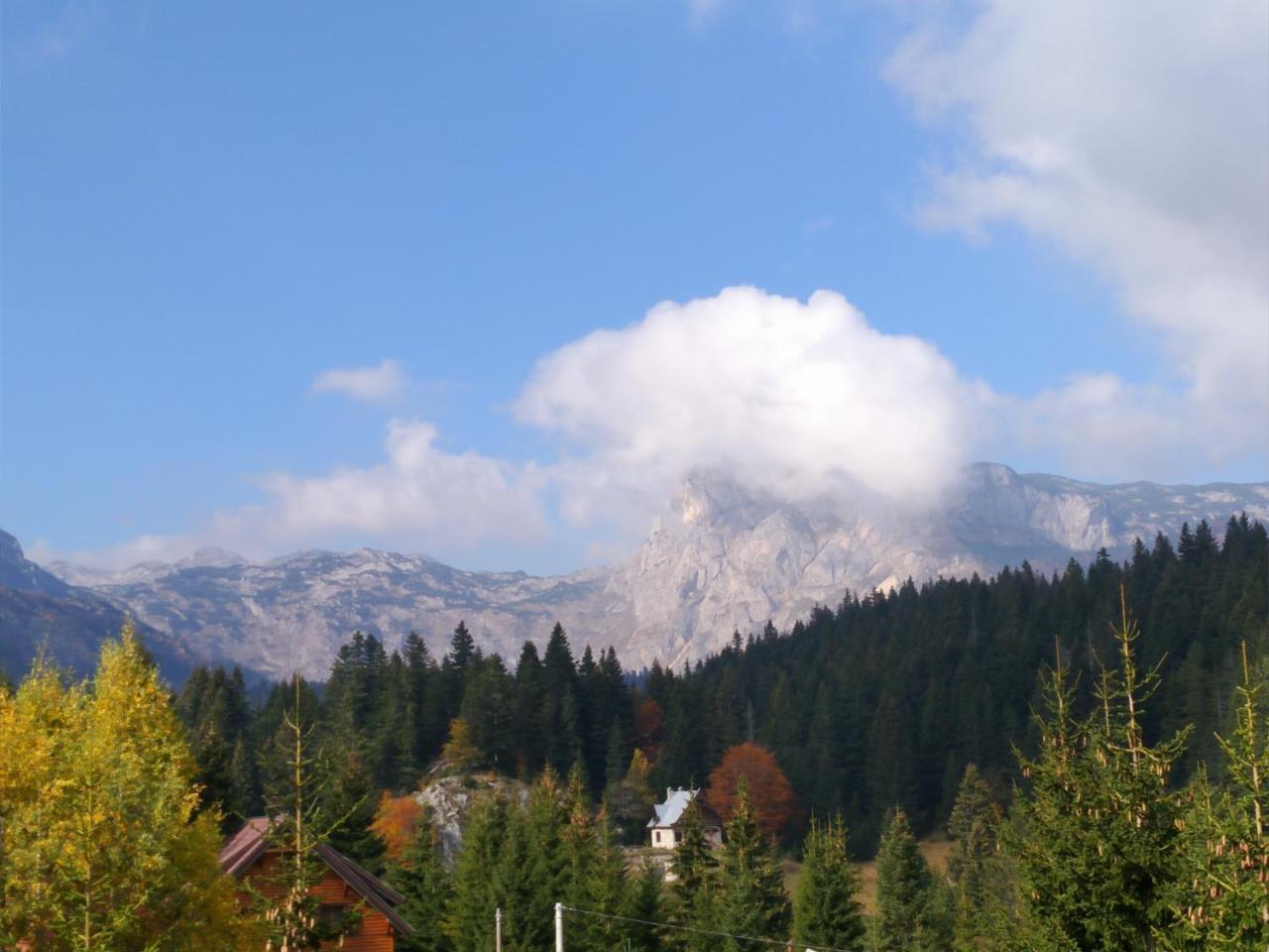 Apartment Durmitor Zabljak  Ngoại thất bức ảnh